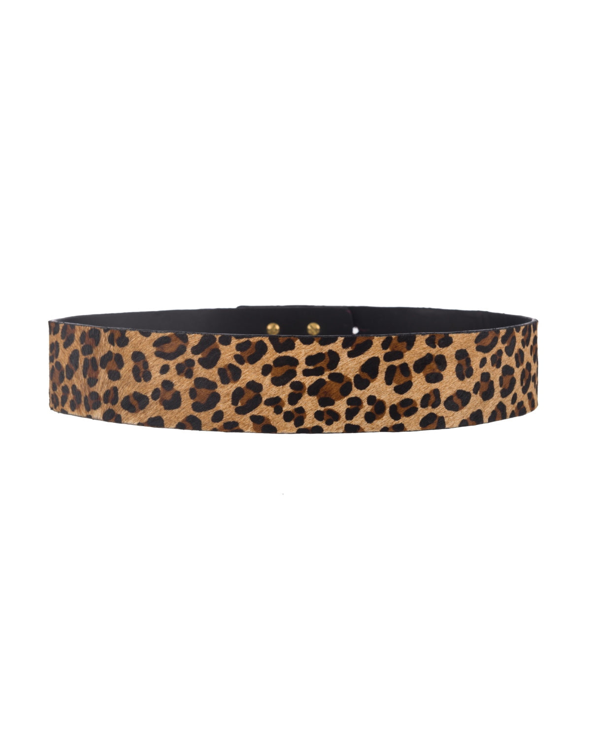 Holly leopard print band waist belt